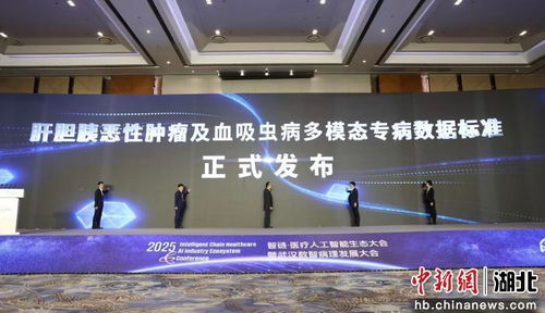2025智鏈醫(yī)療人工智能生態(tài)大會(huì)啟幕，智能技術(shù)驅(qū)動(dòng)醫(yī)療健康新未來